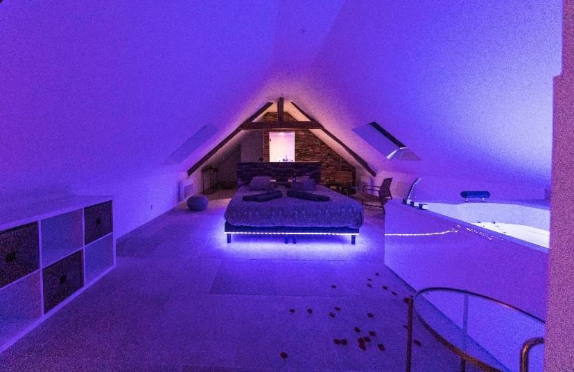 L'Evasion-Spa-Hammam-Sauna Illimite - 2 A 4 Pers Saint-Cyr-sur-Loire Exterior foto