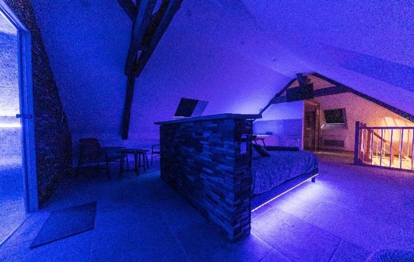 L'Evasion-Spa-Hammam-Sauna Illimite - 2 A 4 Pers Saint-Cyr-sur-Loire Exterior foto